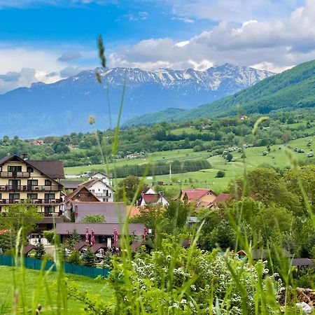 Vila Hora Cu Brazi Зэрнешти Экстерьер фото