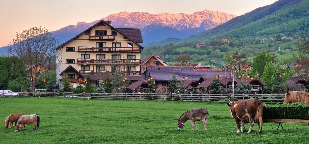 Vila Hora Cu Brazi Зэрнешти Экстерьер фото