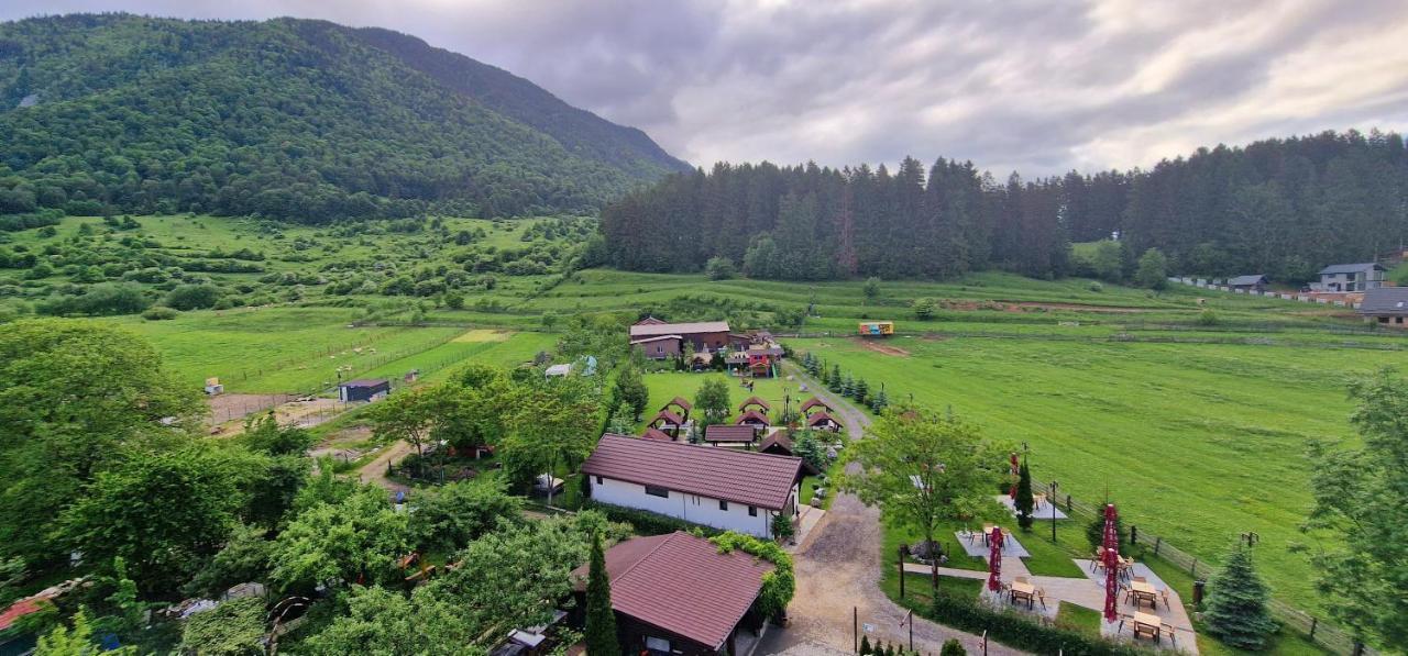 Vila Hora Cu Brazi Зэрнешти Экстерьер фото