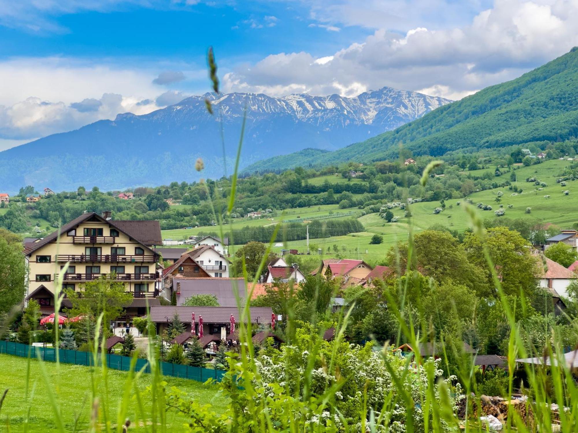Vila Hora Cu Brazi Зэрнешти Экстерьер фото