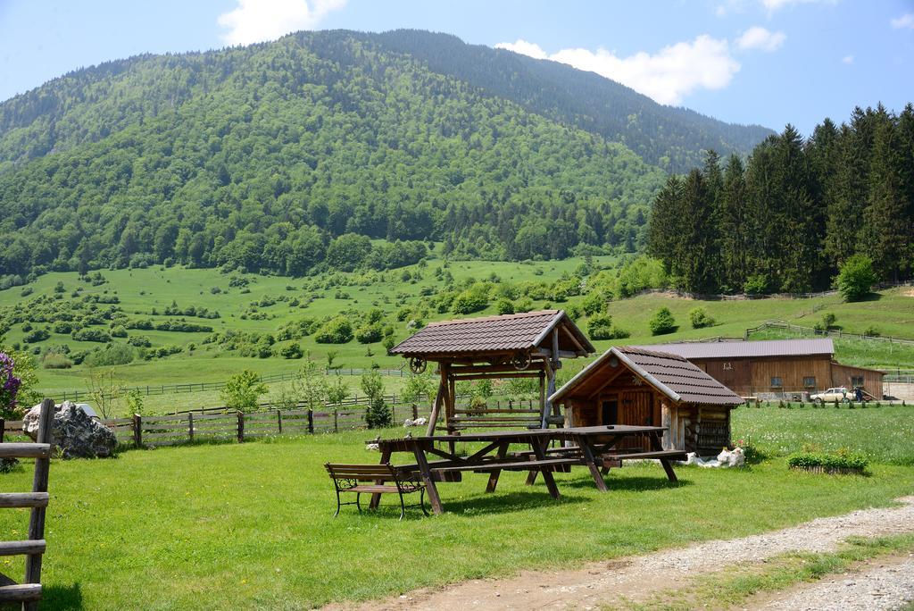 Vila Hora Cu Brazi Зэрнешти Экстерьер фото